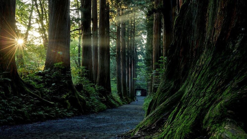 長野のパワースポット！戸隠神社や分杭峠、恋愛・開運などのご利益が期待できるスポット10選