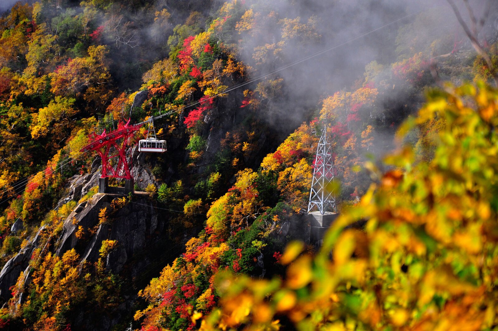 Seeking Nagano's Fall Leaves and Starry Skies