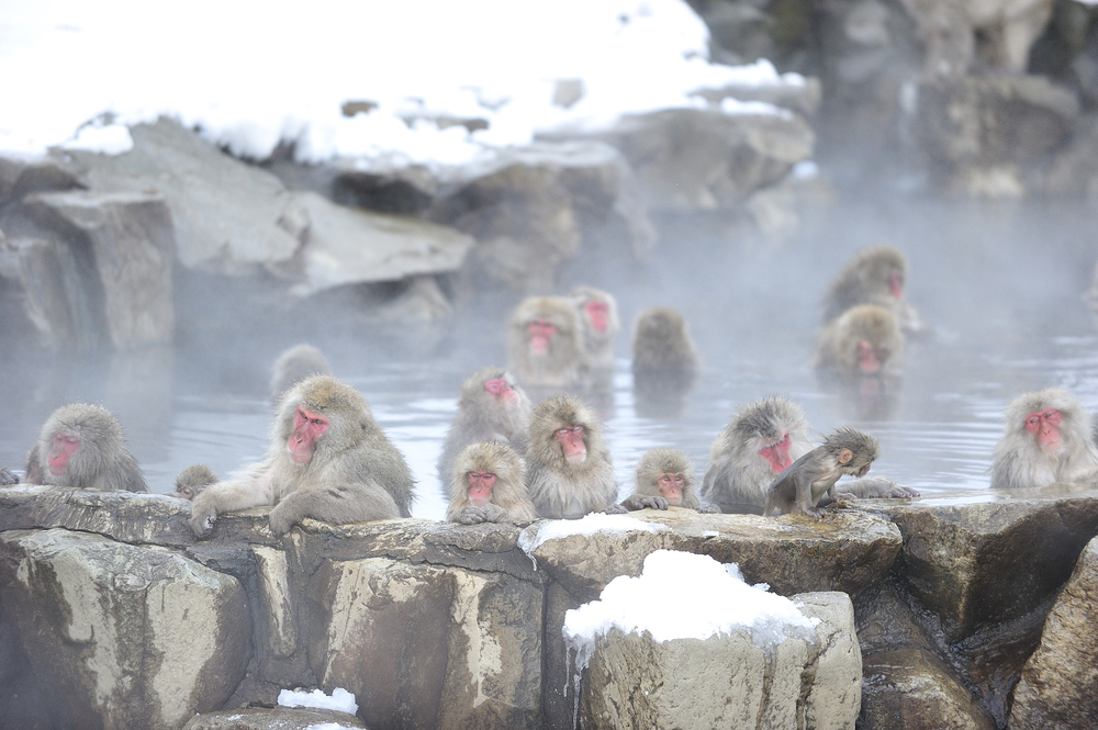 ชมจุดท่องเที่ยวที่ดีที่สุดของ Nagano ภายใน 3 วัน