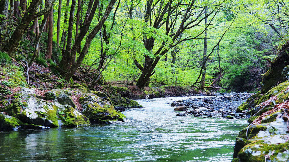 【長野の渓谷14選】4～11月がおすすめシーズン 川や滝、岸壁など雄大な自然美を間近で体感しよう
