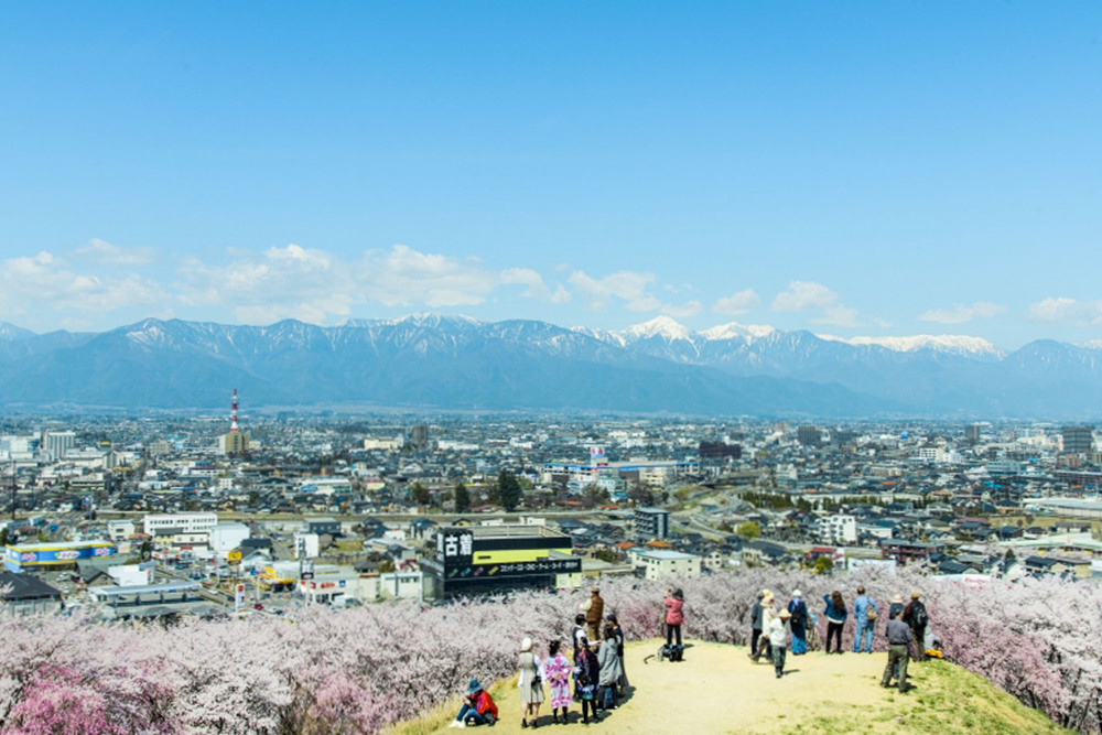 特集『新緑の長野へ。“ハレの日旅”』 花を見に、山へ行こう！ 春⼭で楽しむ低山お花⾒ハイク