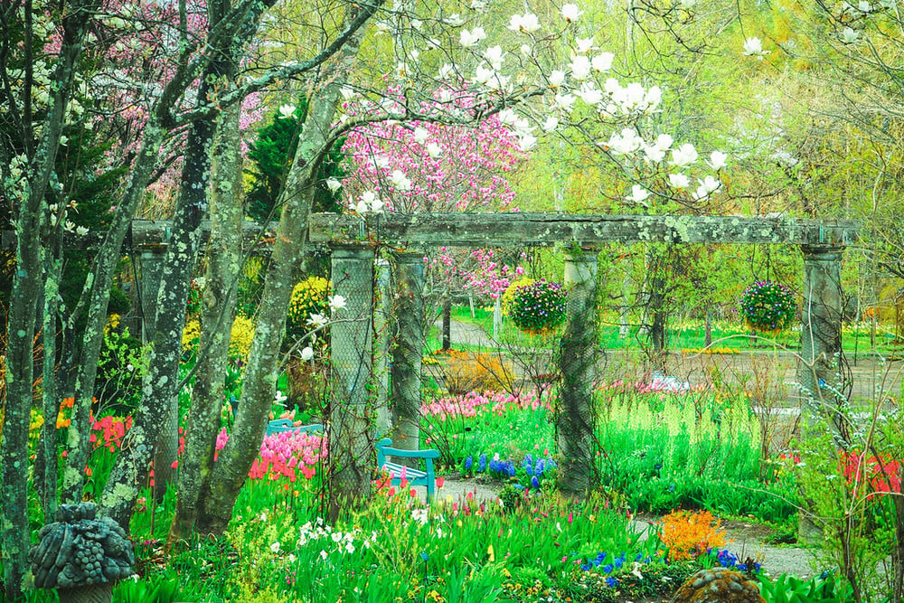特集『新緑の長野へ。“ハレの日旅”』 春爛漫！ 春色の花々を愛でる、自分だけの風景と出合える旅へ