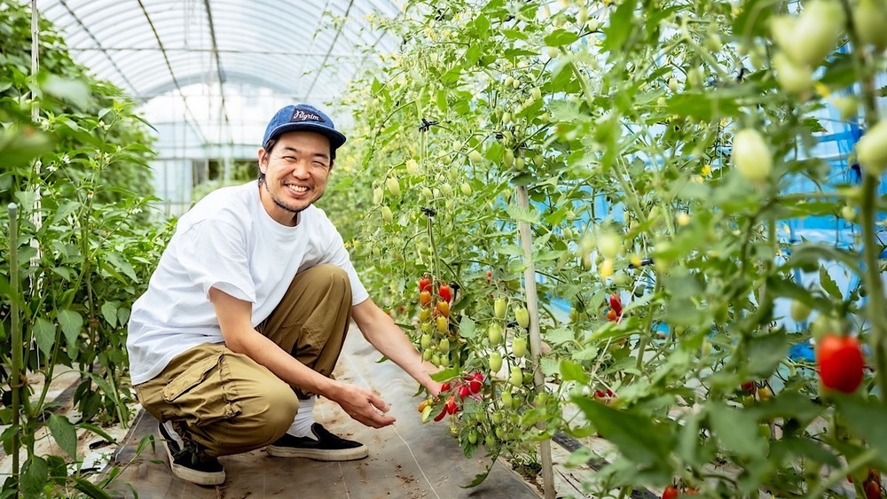 採れたて新鮮野菜がおいしい！夏に行きたい長野県の農家レストラン