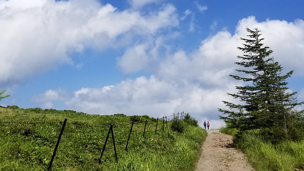 特集『信州歩く観光』❸ 長野県在住の山好きライターが厳選！登山口までマイカーなしでもたどり着ける日帰りハイクスポット3選