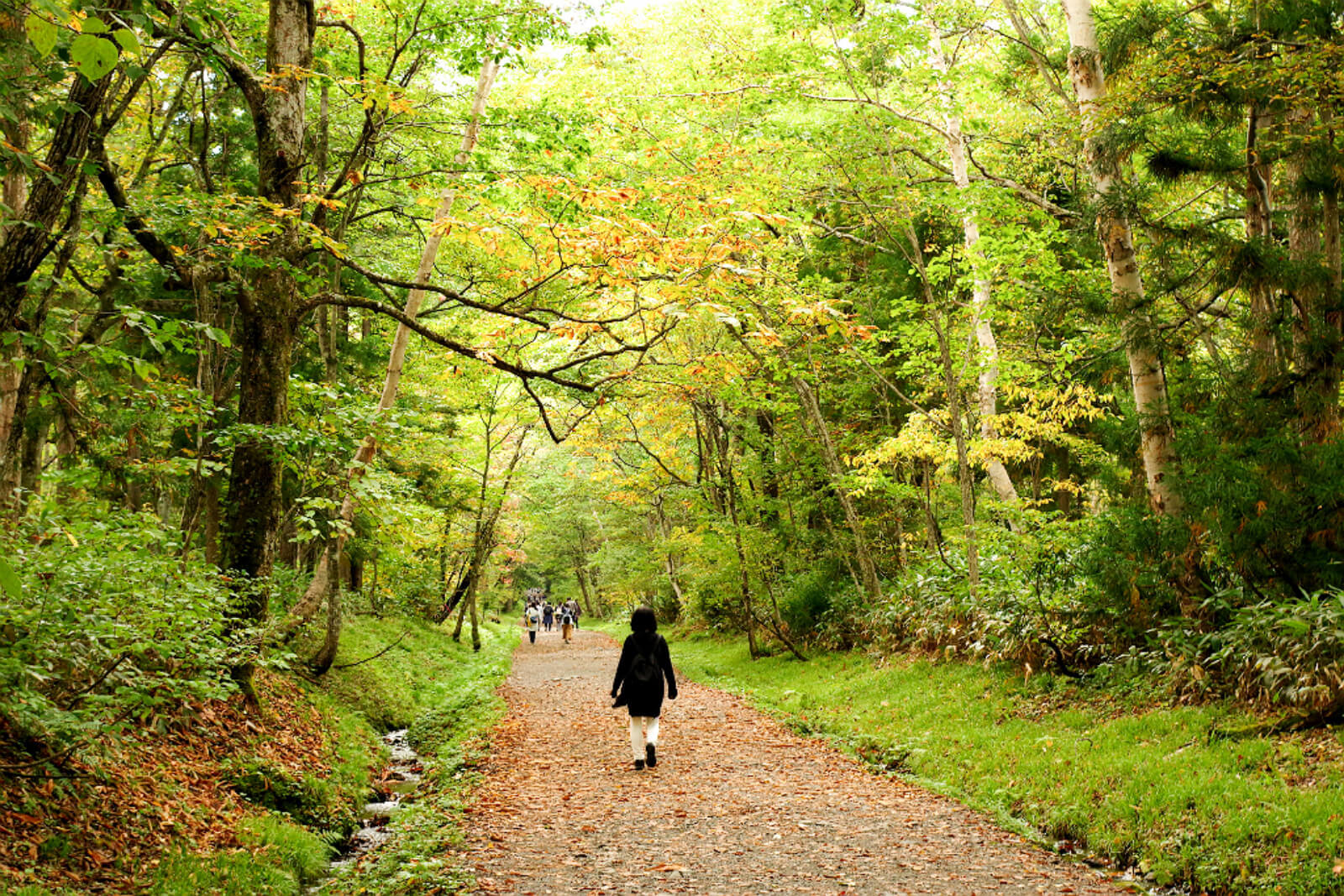 Historical and Cultural Sightseeing Spots around Nagano City
