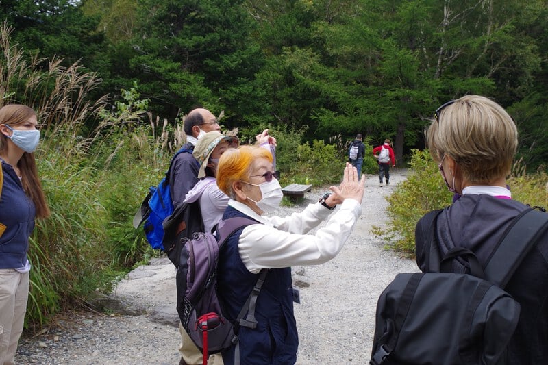 a tour guide stands among a group of customers pointing at distant scenery