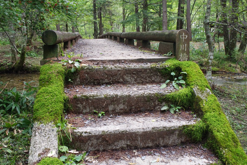 a moss-covered bridge