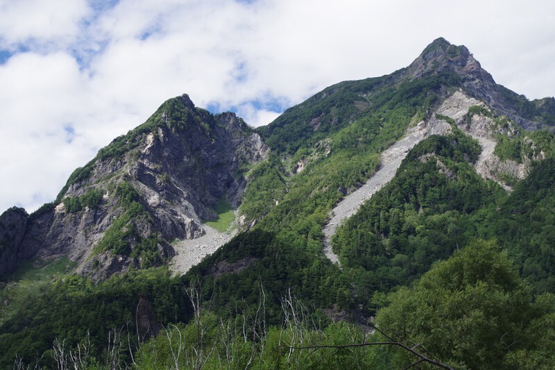 bare mountains above forest and rocky river bed