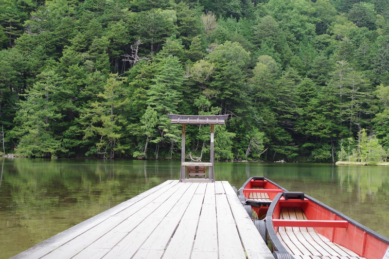 a short pier extends over a small body of water surrounded by forest
