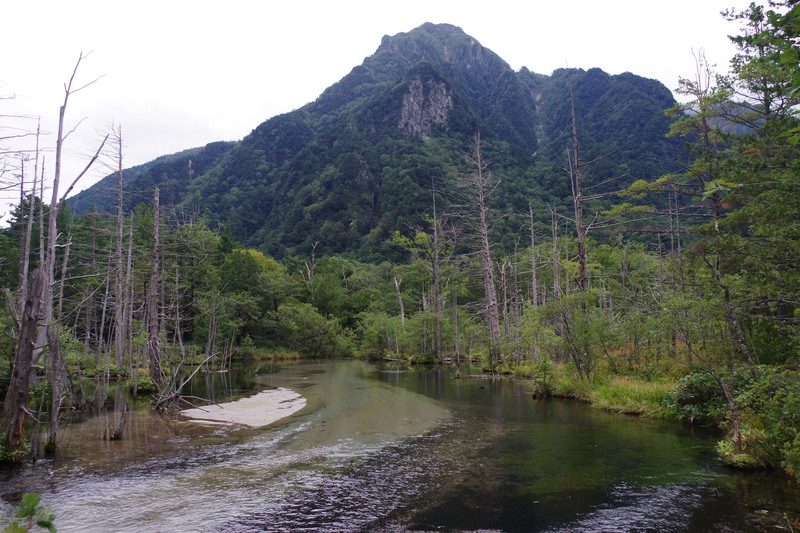 a blue mountain looms over a marsh