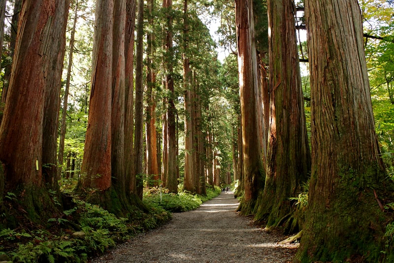 tourist spots in nagano japan