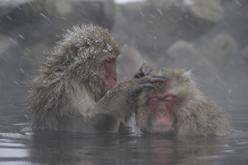 tourist spots in nagano japan