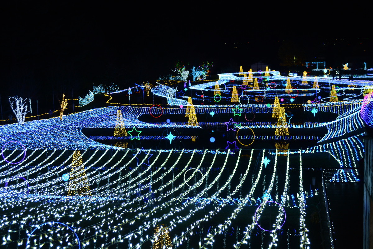 【2025年版】長野のイルミネーション＆ライトアップ｜フォロワーがおすすめする冬の観光スポット