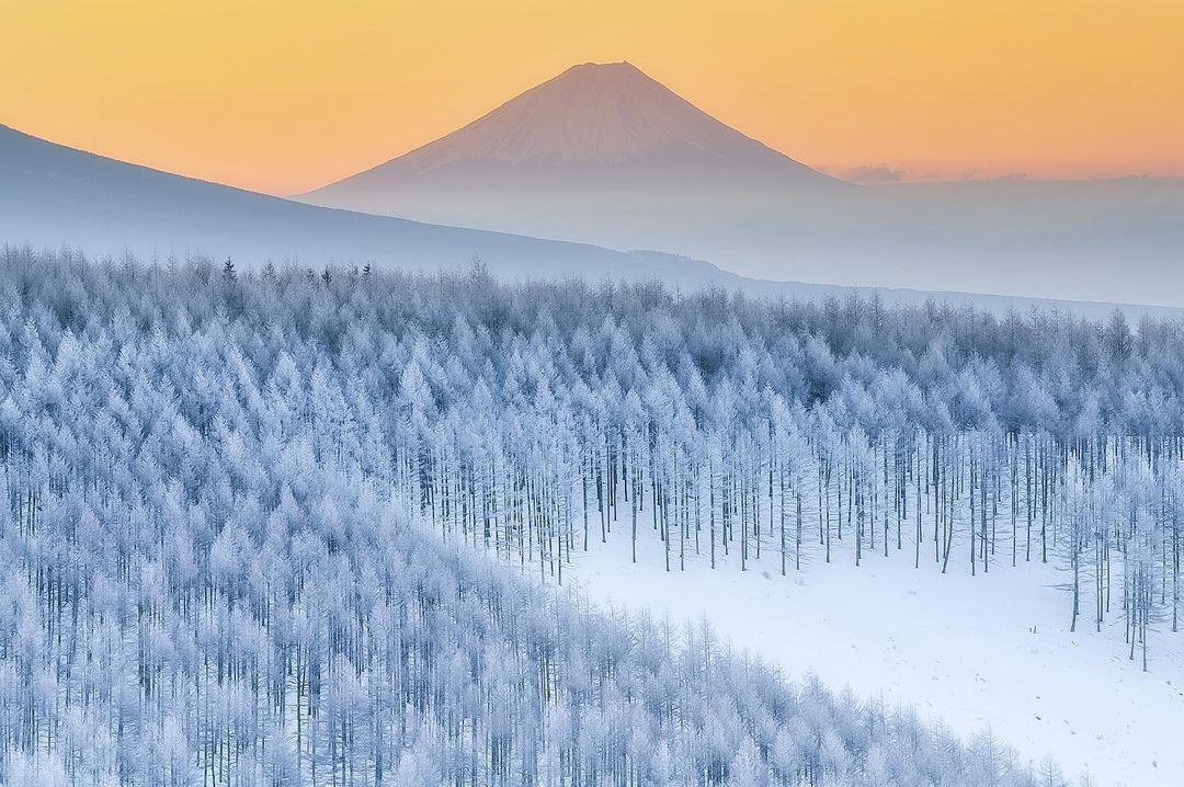 長野県の冬の絶景スポット15ヵ所　樹氷や雪景色など冬限定の美しい光景を見に行こう