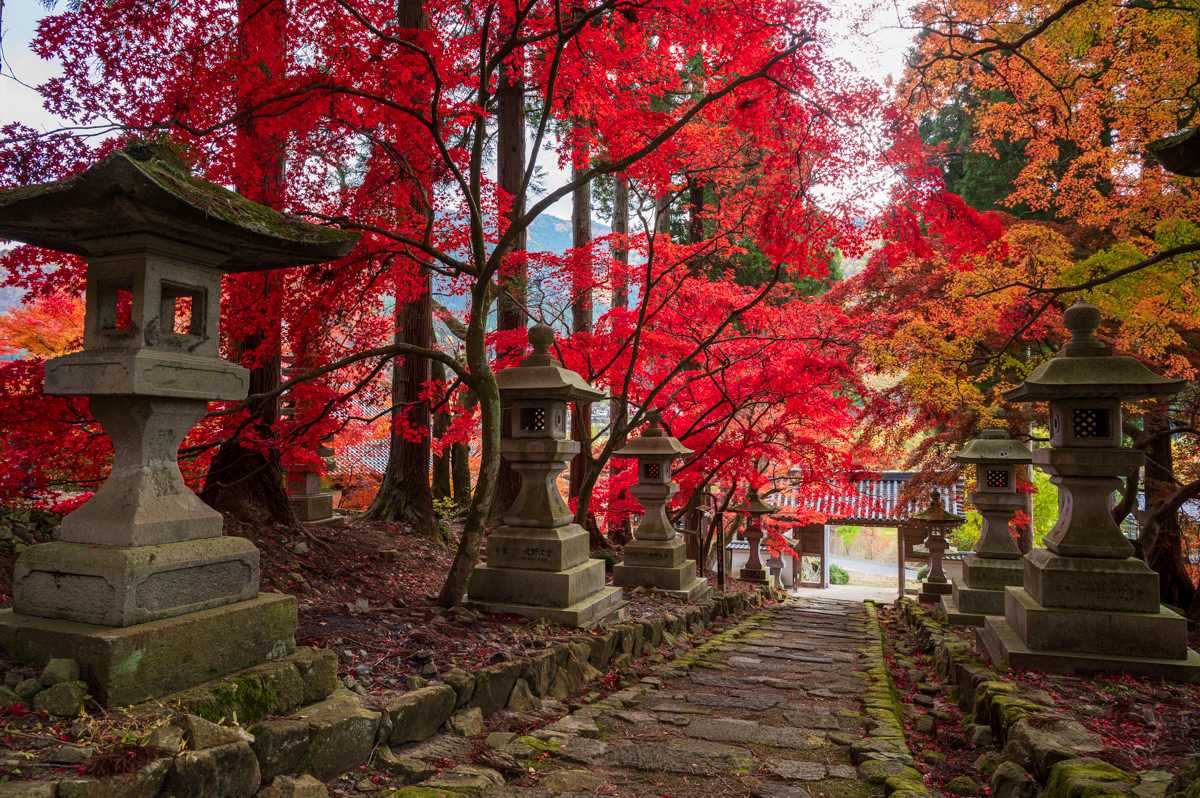 【2025年版】長野の紅葉名所｜写真で選ぶ絶景カタログ（見頃情報付き）