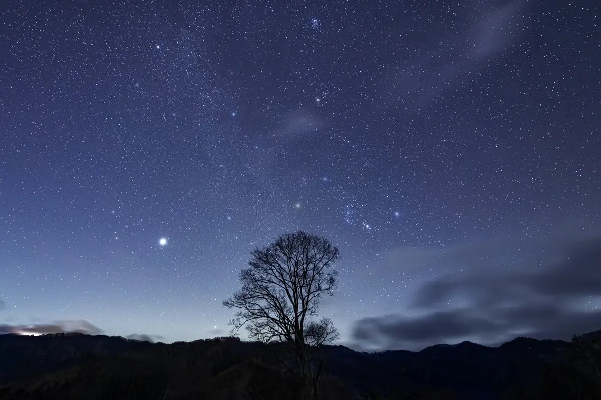 Top_2026-01-12_18-43-39_EOS R5_Ohnishi_4863_KAIDA2700