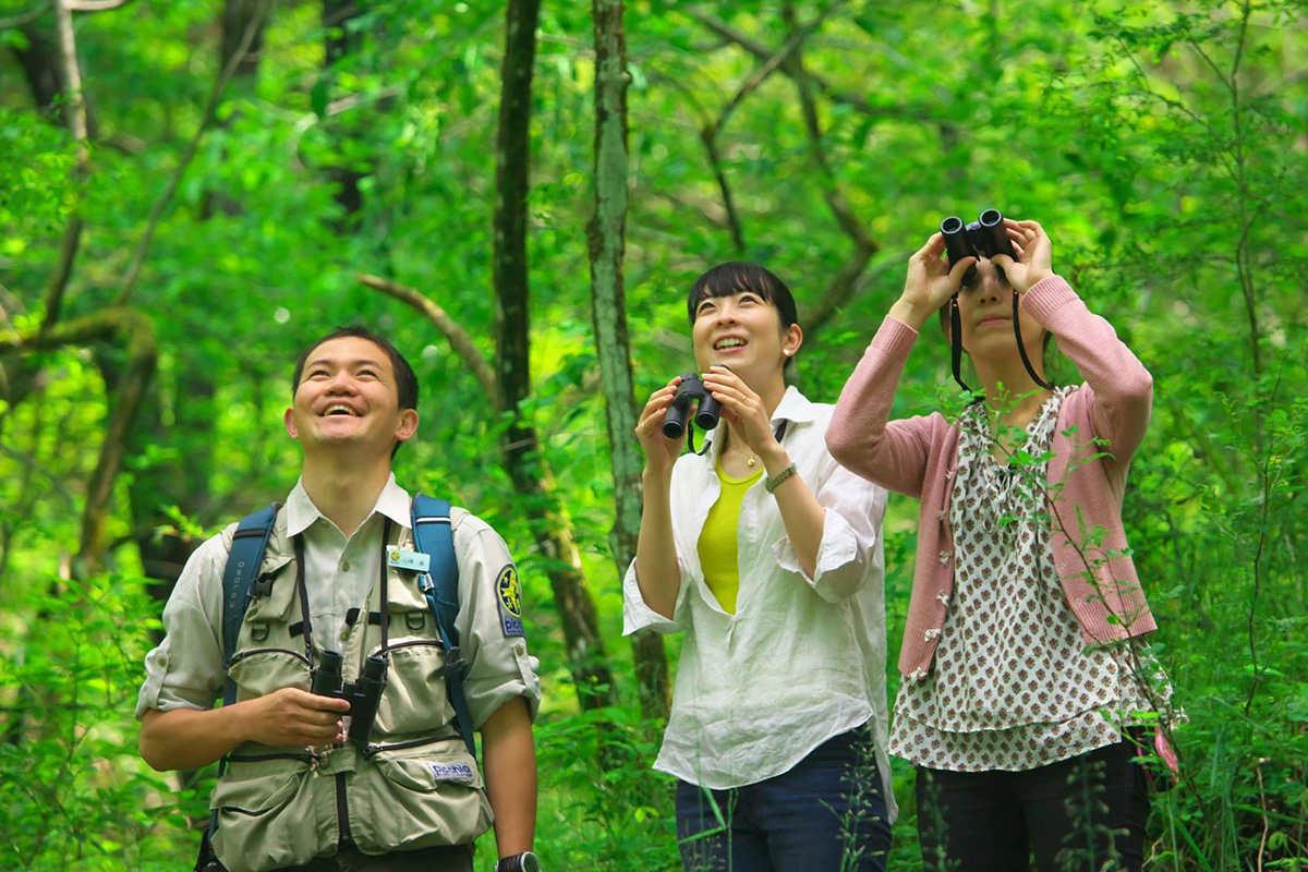 初めてでも楽しめる 野鳥と出会う旅