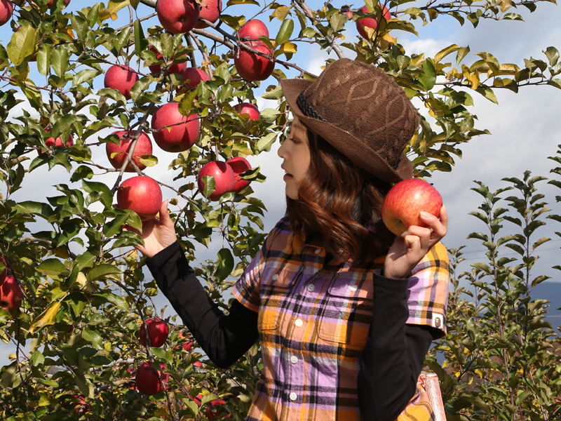 a woman picking apples
