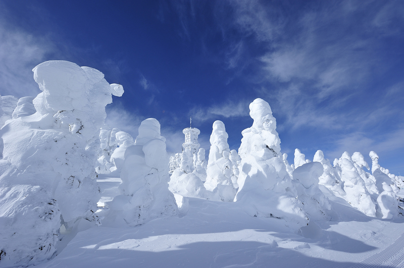 鬆軟的粉雪雪質 長野頂級滑雪勝地