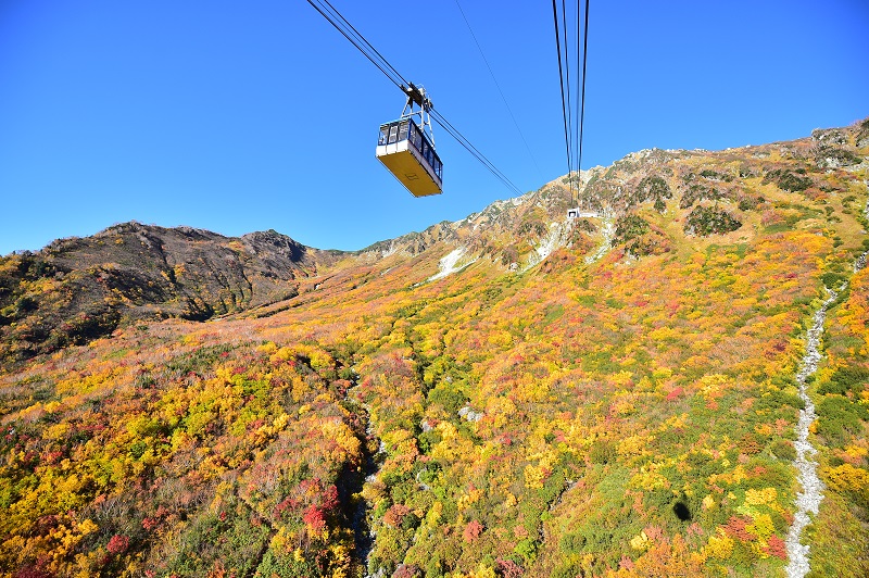 tateyama kurobe alpine route tour from nagano