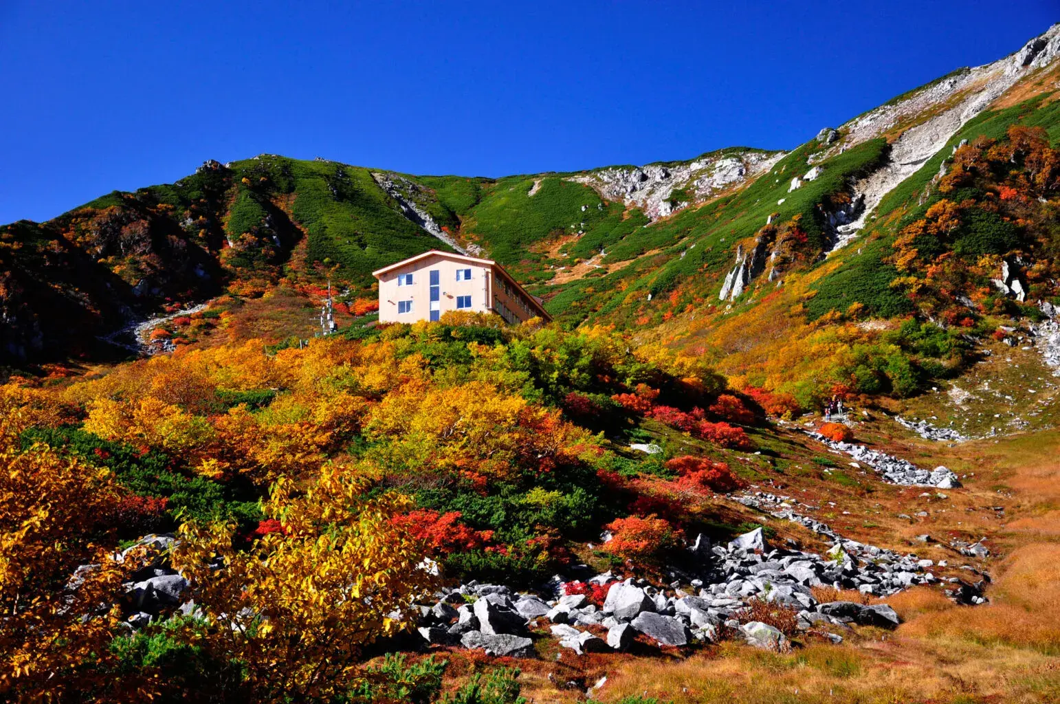 Take an Autumn Drive Touring Southern Nagano’s Spectacular Fall Foliage (2-Day Model Course)