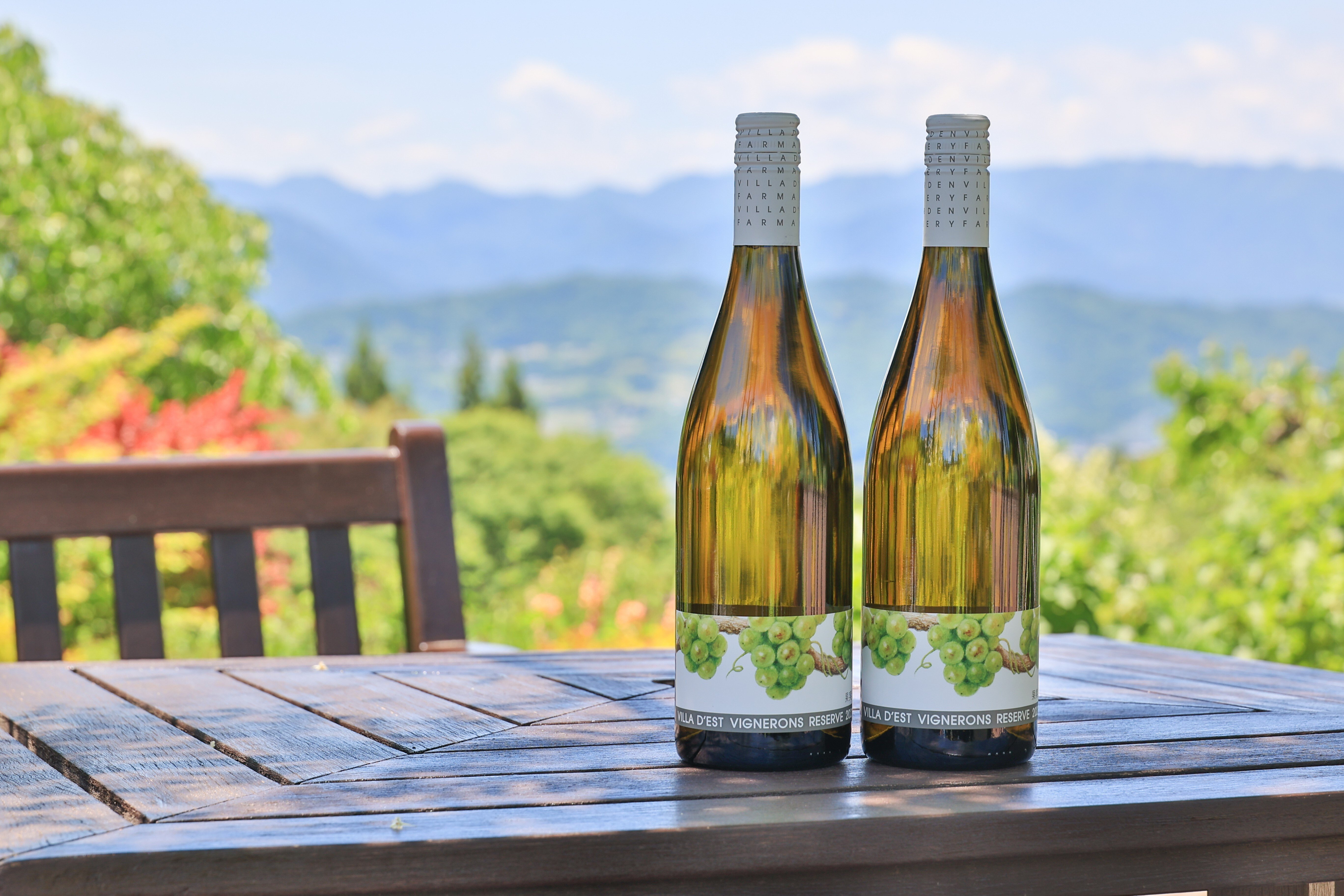 One-day Winery Trip in Eastern Nagano