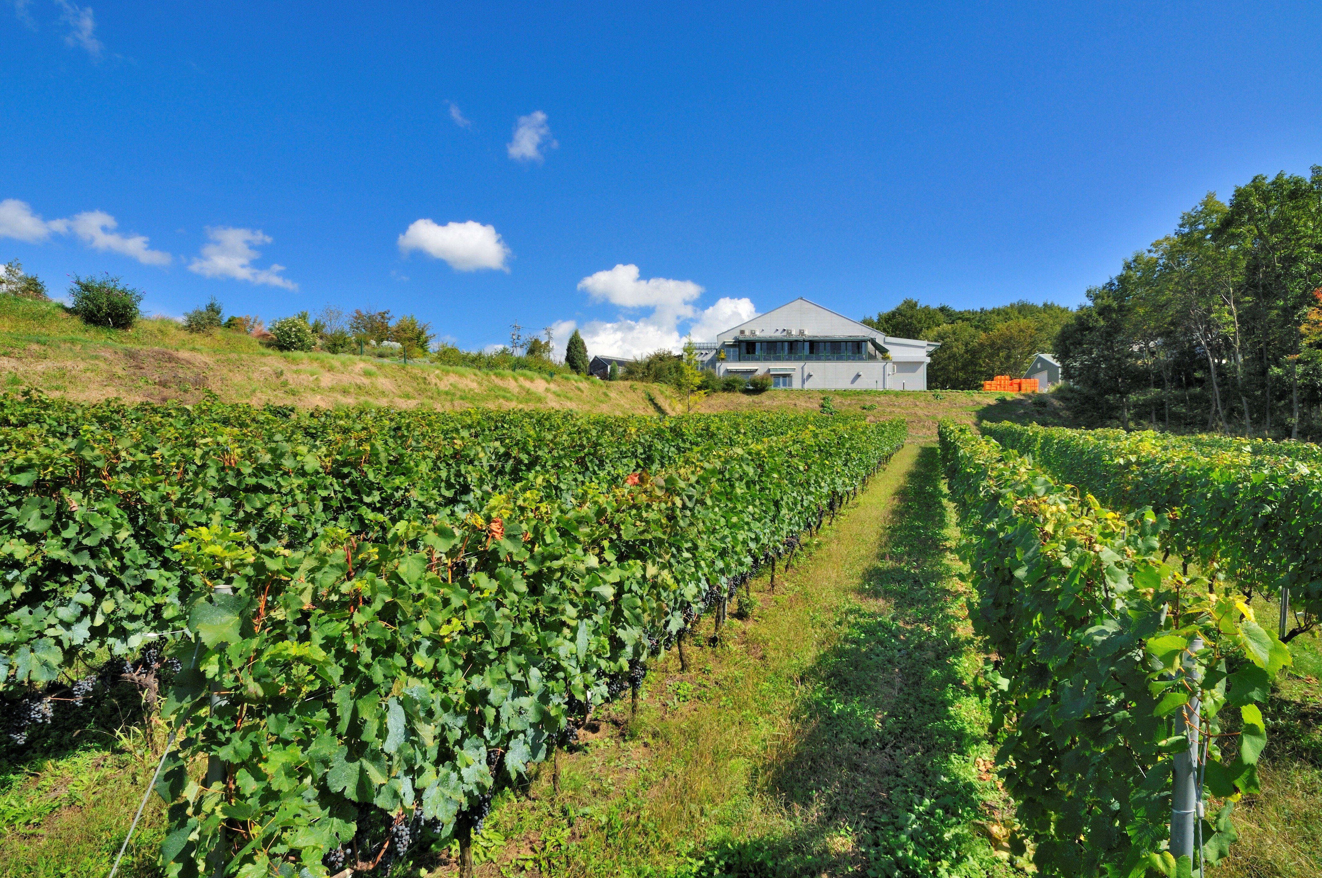 Wineries in Nagano