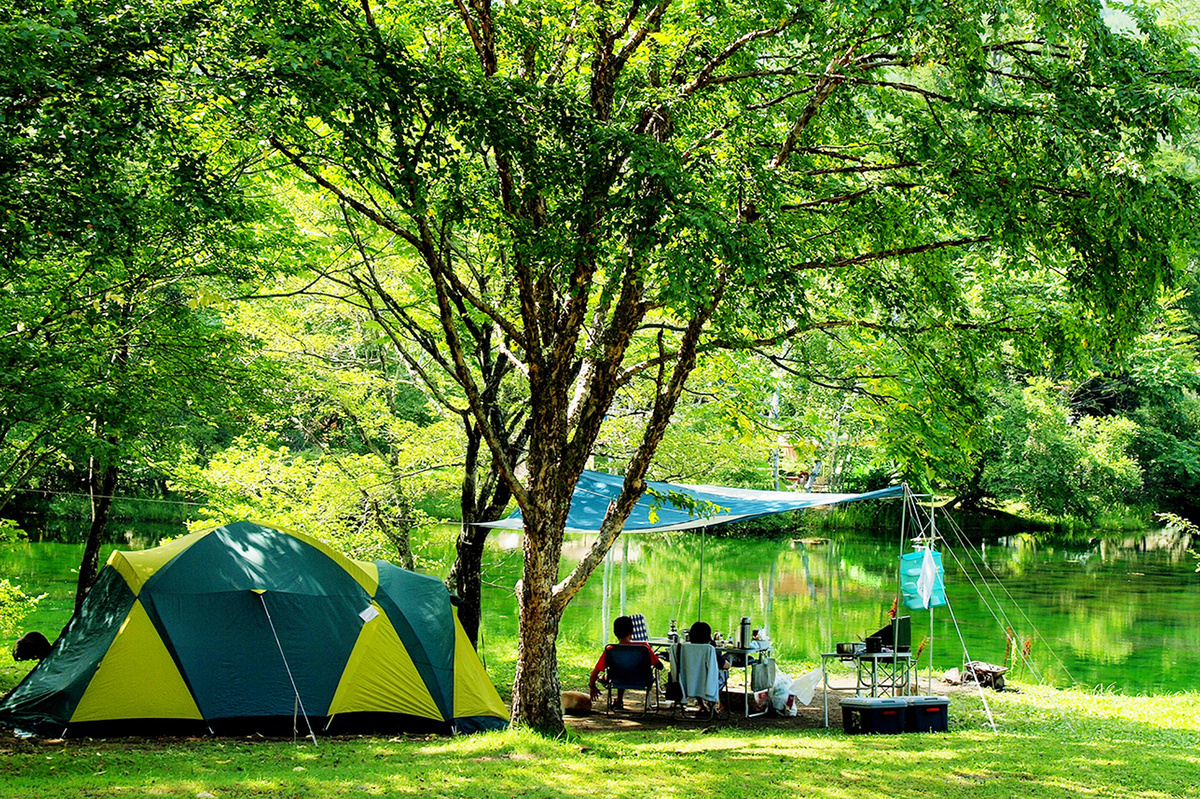 Go Nature, Go Nagano. | 特集『キャンプ＆サウナ』①｜国内有数の白樺