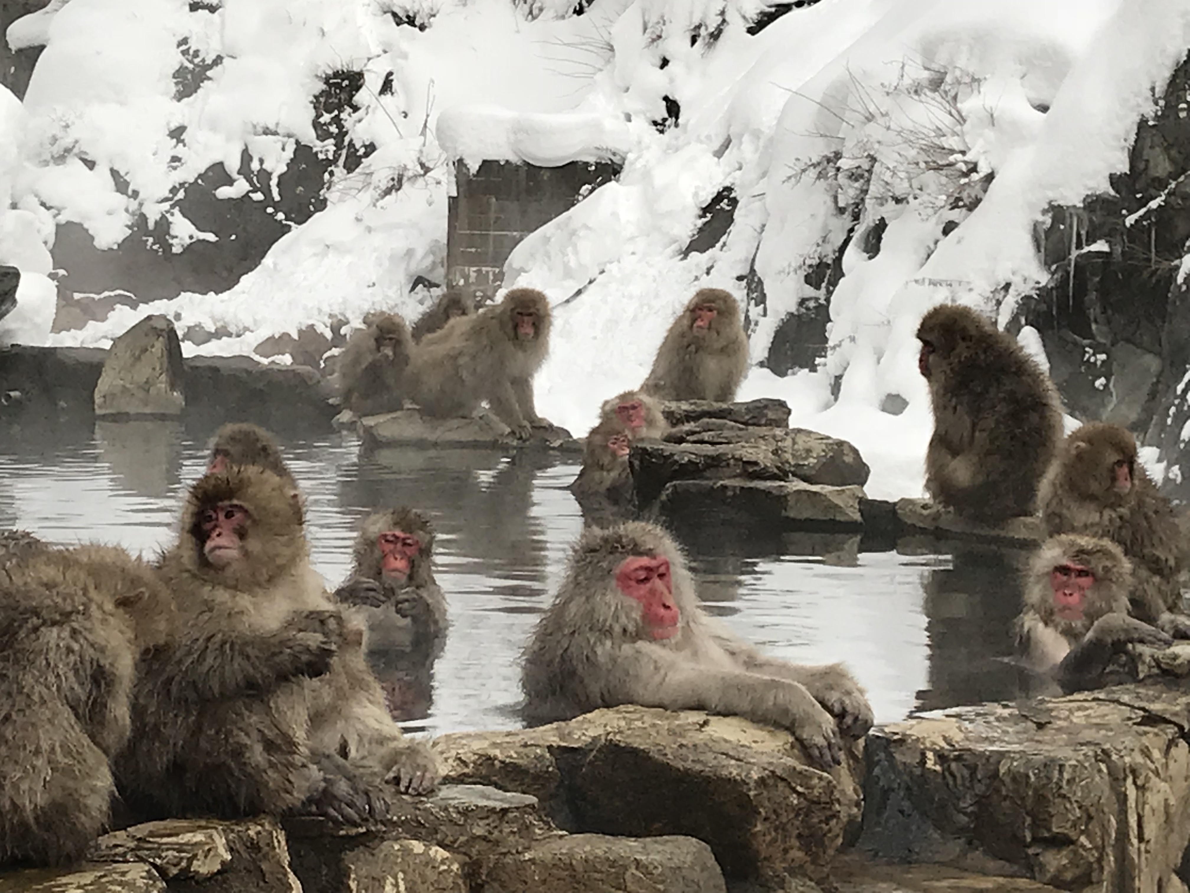 Beyond Skiing: Nagano’s Top Winter Activities