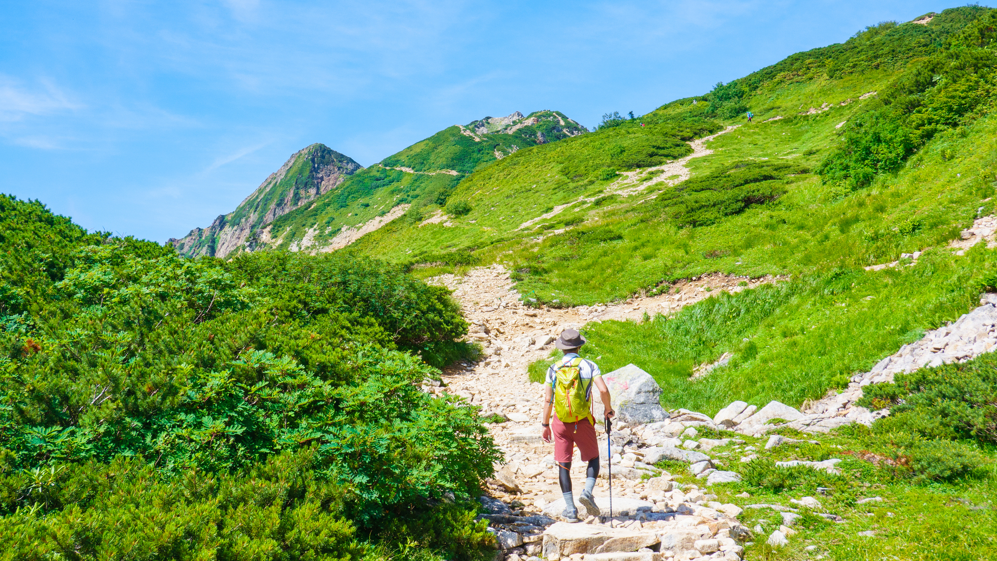 Recommended Guides in Nagano Prefecture