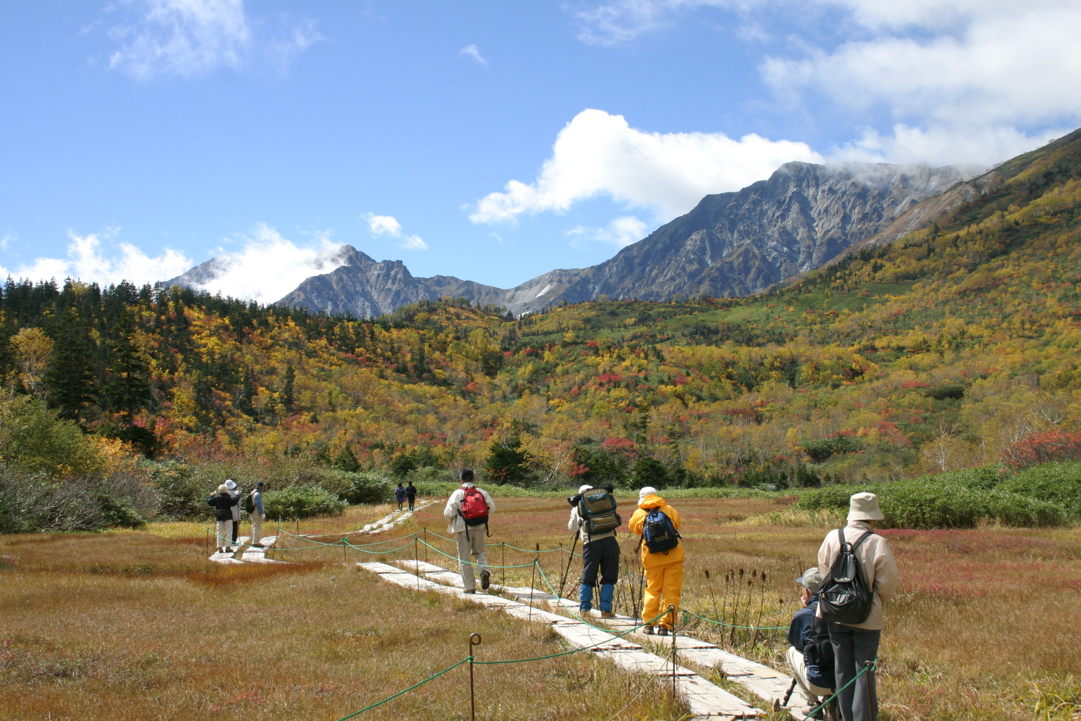 Groups of hikers walk along a wooden boardwalk through a highland marsh below the Northern Japanese Alps
