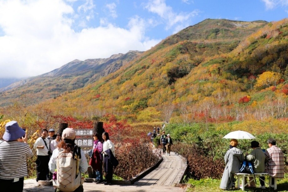 栂池自然園×白馬岩岳露臺2天1夜紅葉之旅