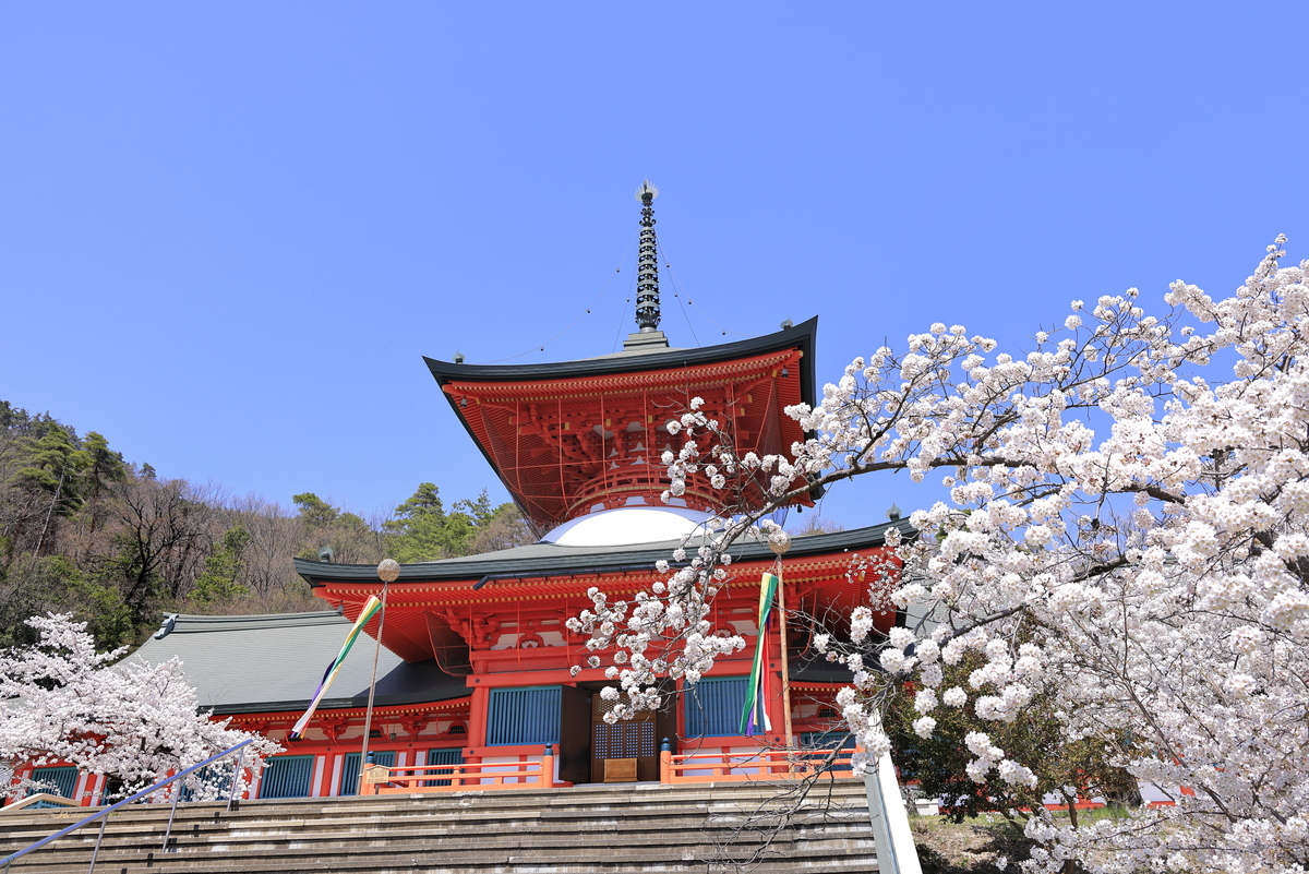 The Best Cherry Blossom Spots in and around Nagano City
